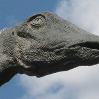 Foto diambil di Dippy the Dinosaur (Diplodocus carnegii) oleh Dippy the Dinosaur (Diplodocus carnegii) pada 6/16/2014