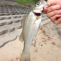 小沢見海水浴場 55 Visitors 小沢見海水浴場 55 Visitors