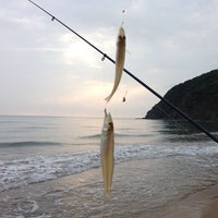 小沢見海水浴場 55 Visitors 小沢見海水浴場 55 Visitors