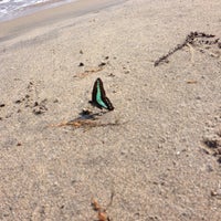 小沢見海水浴場 55 Visitors 小沢見海水浴場 55 Visitors