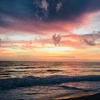 Bicentennial Park - Beach