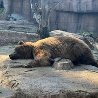 Photo taken at Brown Bears by Elizabeth B. on 10/12/2023