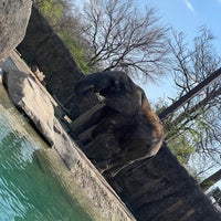 Photo taken at Indianapolis Zoo by Elizabeth B. on 3/28/2024