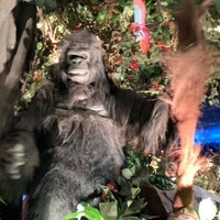 Photo taken at Rainforest Cafe by David P. on 1/9/2021