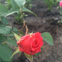 Photo taken at дача🌹🌷💐 by Юлька . on 7/8/2014