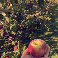 Photo taken at Honey Pot Hill Orchards by Shahad A. on 10/23/2021