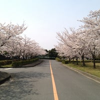 九州大学 筑紫キャンパス Kyushu Univ Chikushi Campus 방문자 344명의 팁 2개