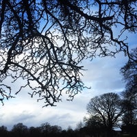 Photo taken at Richmond Park by Ali B. on 12/22/2015