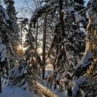 Photo taken at Meri-Rastilan metsä by Johanna A. on 1/16/2021