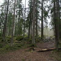 Photo taken at Meri-Rastilan metsä by Johanna A. on 4/14/2024