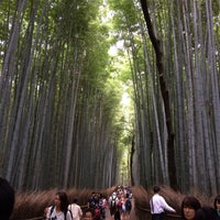 Photo taken at Arashiyama Bamboo Grove by Kazu on 6/13/2015