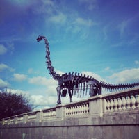 Photo taken at Brachiosaurus by Anna P. on 10/29/2012