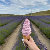 Снимок сделан в New Zealand Alpine Lavender Farm and Shop пользователем Yana K. 1/5/2020