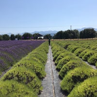 Das Foto wurde bei B&amp;amp;B Family Lavender Farm von Nina am 8/8/2019 aufgenommen