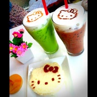 Kitty Cat  Caf  Now Closed    