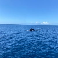Foto tirada no(a) Pacific Whale Foundation por Lacey S. em 1/22/2022