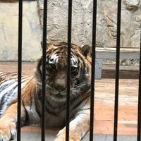 Foto scattata a Зоопарк София (Sofia Zoo) da Eliz Y. il 2/22/2019