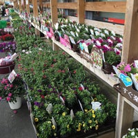 Dcmカーマ 静岡柳町店 静岡市 静岡県