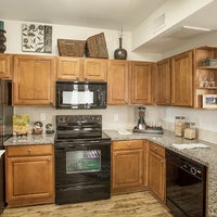 Alta Pine Forest Apartments Residential Building Apartment Condo In Humble