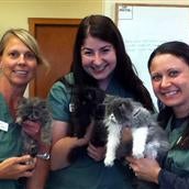 West Hills Animal Hospital - 2 tips from 12 visitors