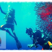 Taman Sari Wisata Bahari Surf Spot