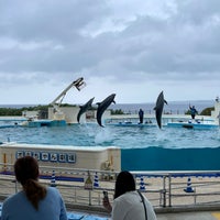 Photo taken at Dolphin Lagoon by ひろき on 11/18/2021