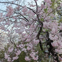 Photo taken at 西川緑道公園 by 3+4=7 on 3/31/2023