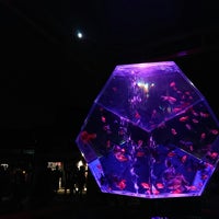 アートアクアリウム城 京都 金魚の舞 Now Closed 中京区 京都府