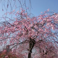 花の回廊 東山区 0 Tips 花の回廊 東山区 0 Tips