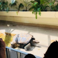 Photo taken at Reptile Discovery Center by 小月 夏. on 8/5/2018