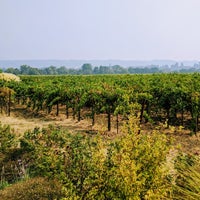 รูปภาพถ่ายที่ Quivira Vineyards and Winery โดย Steep B. เมื่อ 9/4/2017
