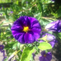 Foto tirada no(a) Parque de Exposições de Braga por Antonio N. em 6/3/2016