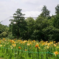 Photo taken at ゆり園 by hiro on 6/24/2017