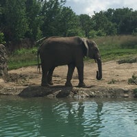 Photo taken at Elephants by Ric M. on 7/15/2015