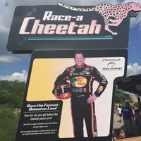Photo taken at The Cheetah Race by Ric M. on 7/15/2015