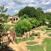 Photo taken at Elephant Trails Exhibit by HW L. on 7/26/2017