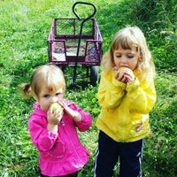 Door Creek Orchard Farm In Cottage Grove