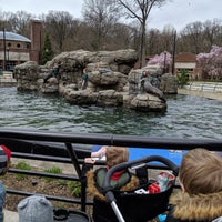Photo taken at Sea Lion Court by Sarah S. on 4/11/2019