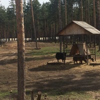 Photo taken at Парк Копытных by Sveta on 5/1/2016