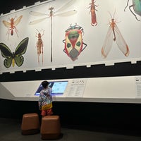 Photo taken at Queensland Museum by Bori_bab on 1/16/2024