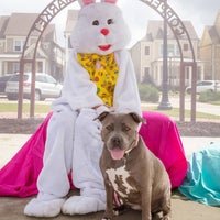 Das Foto wurde bei Coppell Farmers Market von Michael W. am 3/15/2016 aufgenommen