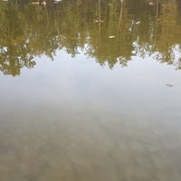 Photo taken at Kotsyba Lake by Anjey A. on 10/12/2019