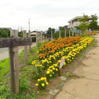Photos At あの花ポケットパーク 36 Visitors Photos At あの花ポケットパーク 36 Visitors