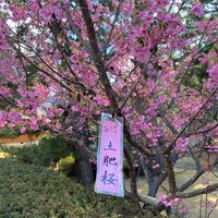 Photo taken at 松原公園 by うふぽよ . on 2/11/2022