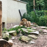 Photo taken at Riga Zoo by Kaspars V. on 9/17/2023