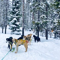 รูปภาพถ่ายที่ Elk Lake Resort and Marina โดย Ryan C. เมื่อ 1/24/2021