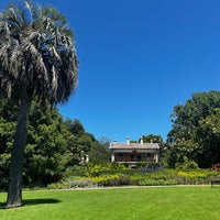 1/11/2024にBalázs L.がRoyal Botanic Gardensで撮った写真