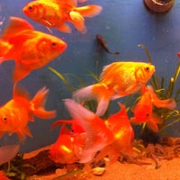 Photo taken at Pet shop SIRENA by Елена Д. on 2/10/2015
