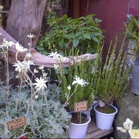 草花屋 苔丸 鎌倉 0 Tips 草花屋 苔丸 鎌倉 0 Tips