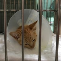 Photo taken at Pet Direct Hospital by Ammy P. on 11/5/2017